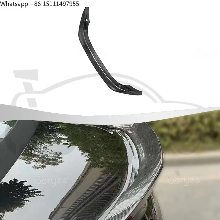 Car Accessories Lipa - Spoiler Posteriore in Fibra di Carbonio