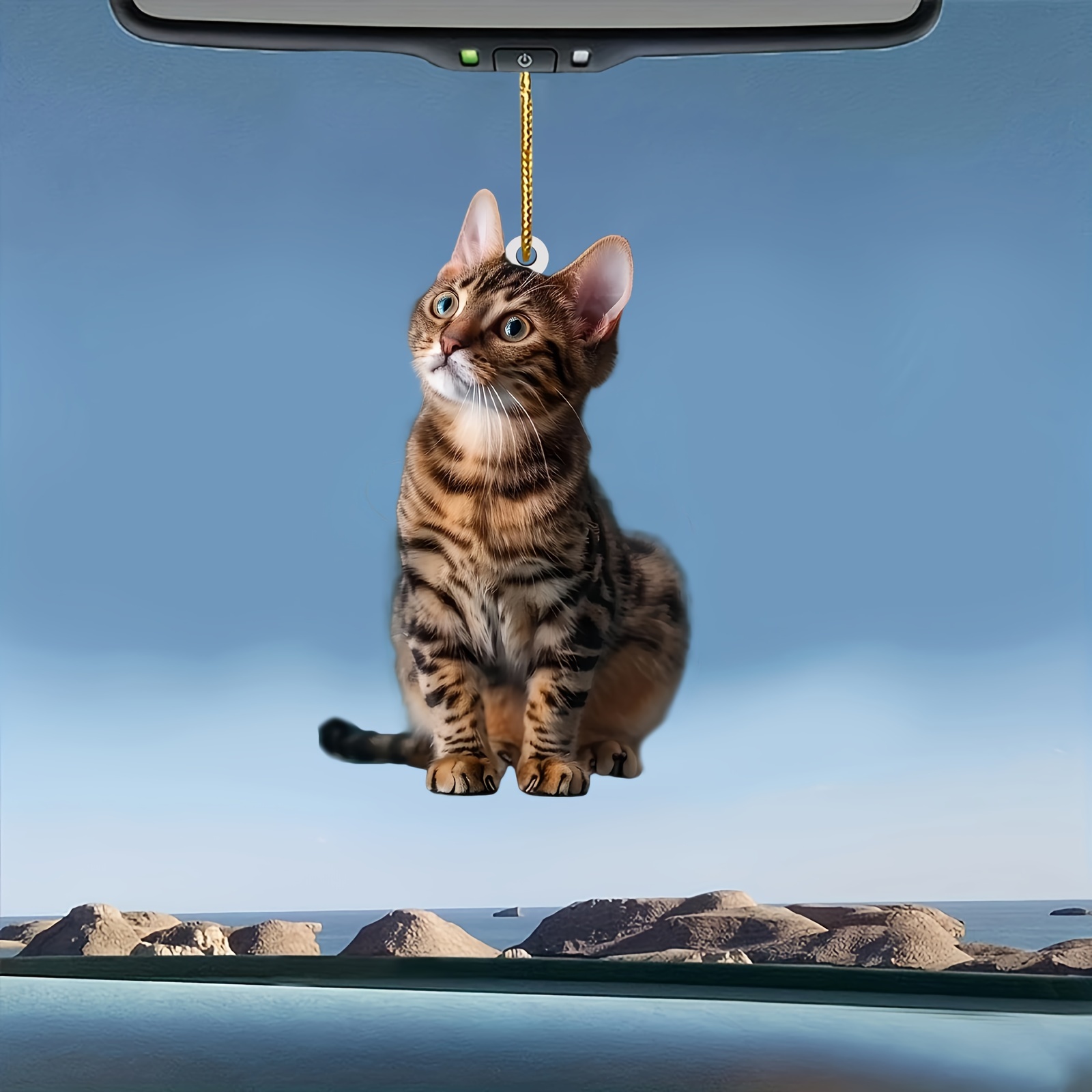 3 pezzi 2D piatto gatto ciondo - Car Accessories Walmart recensione e prezzo