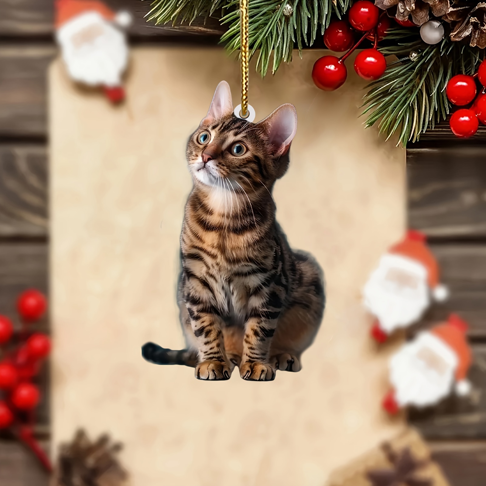 3 pezzi 2D piatto gatto ciondo - Car Accessories Walmart recensione e prezzo