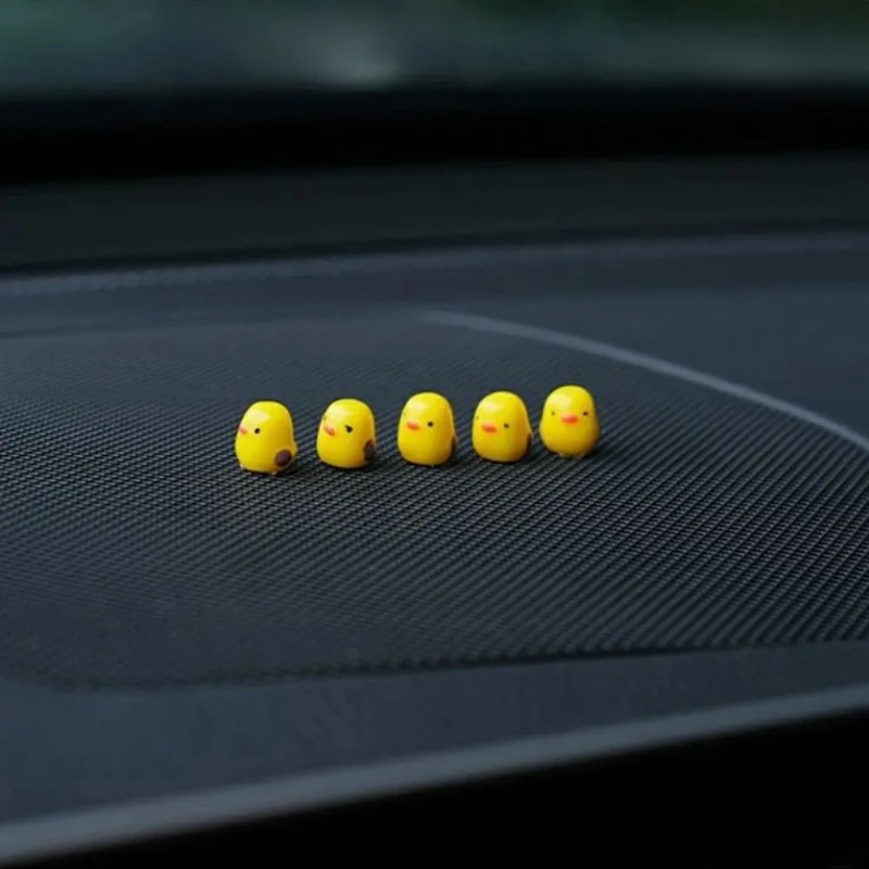 Simpatici mini anatre decorazi - Car Accessories Oman recensione e prezzo
